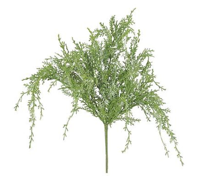 Snow Wisper Cedar Pine Bush (26 in.)