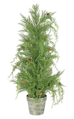 Wisper Cedar Tree w/ Tiny Cone