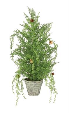Wisper Cedar Tree w/ Tiny Cone