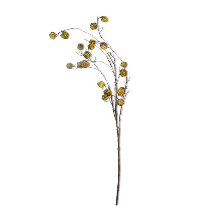 Poha Pod Branch 52"