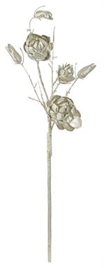 Protea (37.5 in.) - Champagne