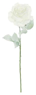 Frosted Georgia Rose (26 in.) White