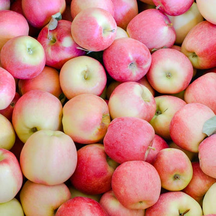 MKT Apple Ambrosia Fresh Fruit (Each)