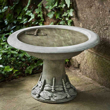 Small Dragonfly Birdbath