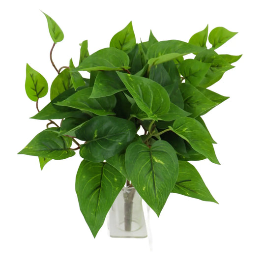 Faux Pothos Bush