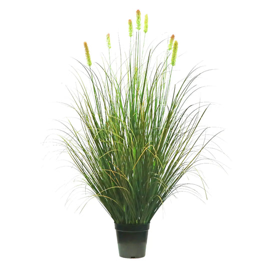 Faux Onion Grass Plume in Pot