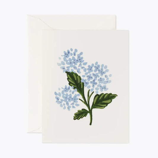 Hydrangea Bloom Card