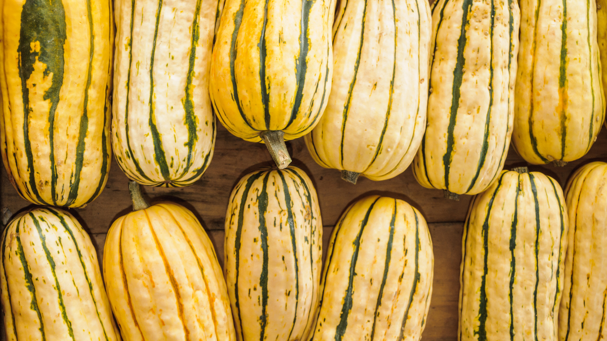 How to Cook Delicata Squash: Easy Roasted and Stuffed Recipes