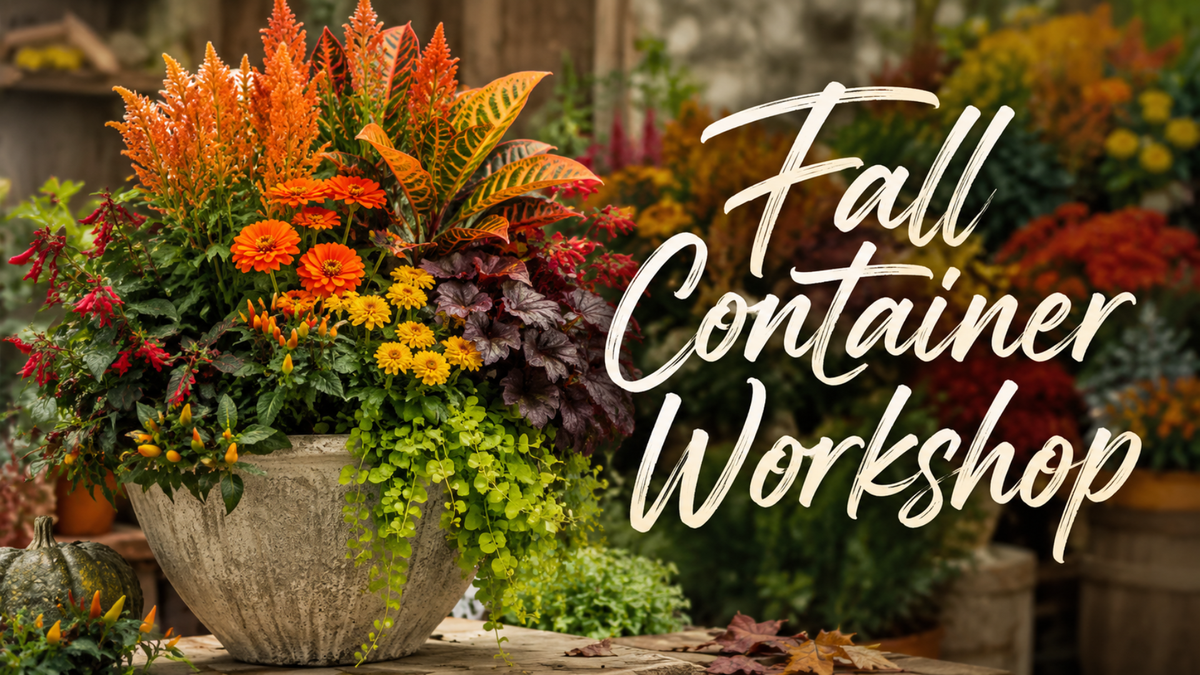 Fall Container Workshop