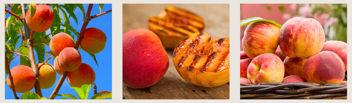 The Juicy Debate Over the Peach State