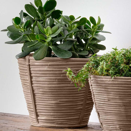 Reed Planter Brown