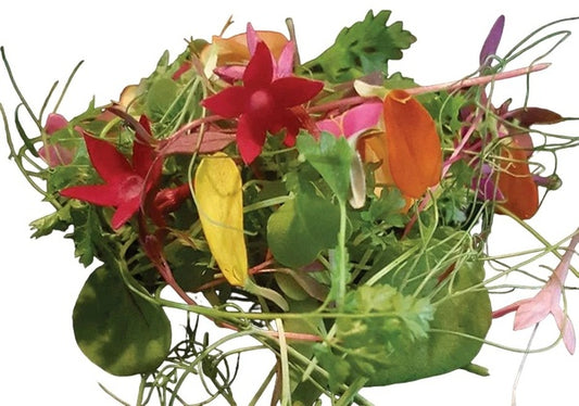 MKT Chef's Mix Microgreens (1 oz.)